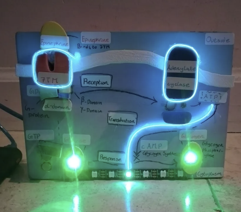 Bio Poster