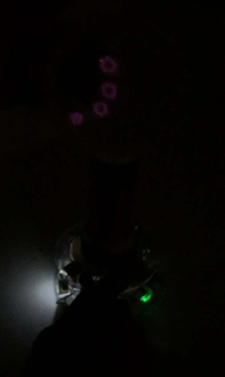 Kirlian Photography