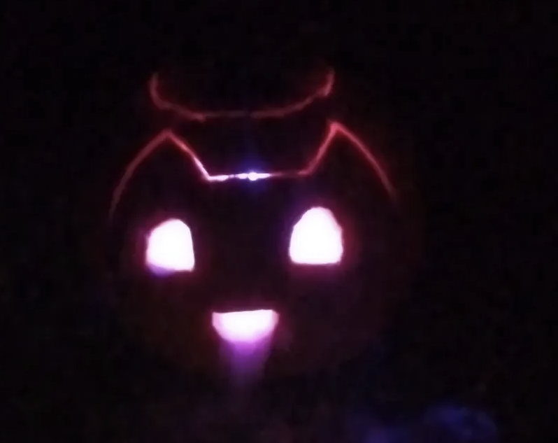 Pumpkin Cat